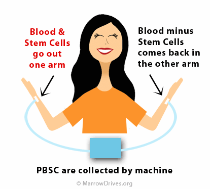 How PBSC Works